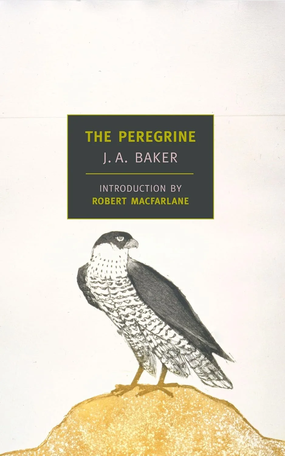 Cover of The Peregrine by J. A. Baker