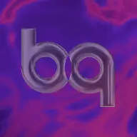 bizqiz.com