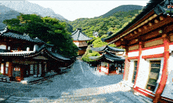 Kyoto 1693